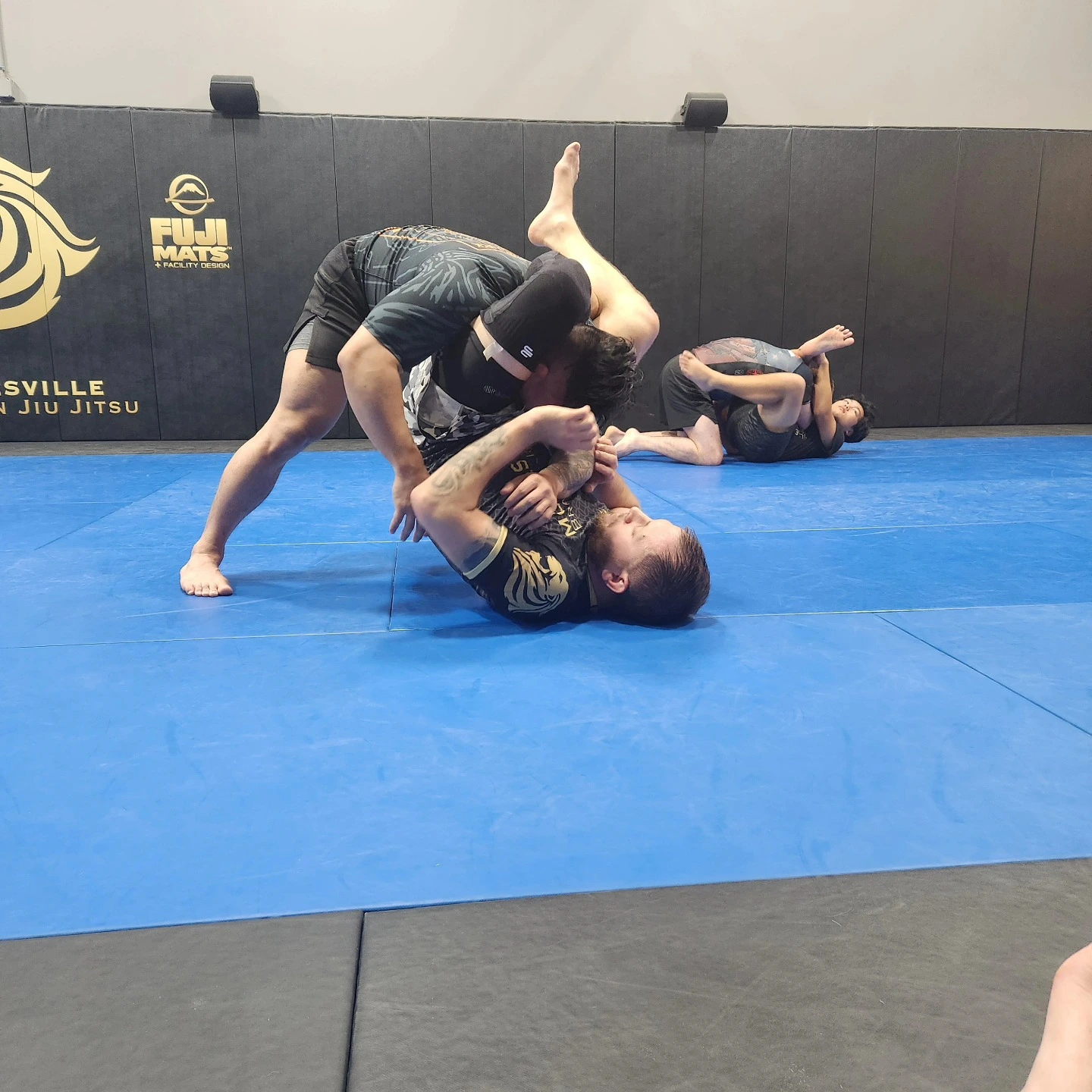 Real Mooresville Brazilian Jiu-Jitsu training — adults rolling under the gym's tiger logo with Fuji Mats branding visible